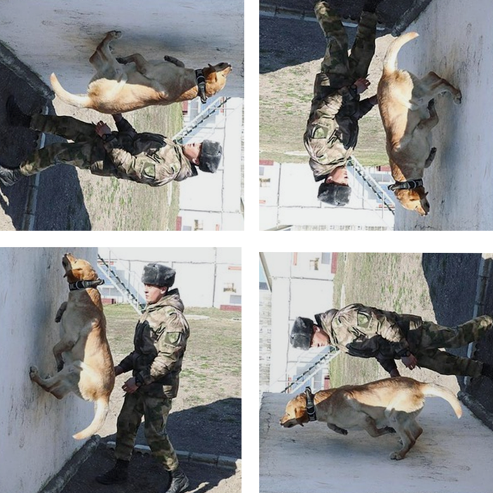 Круговая тренировка