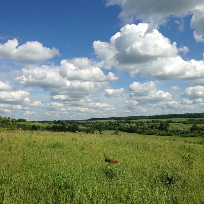 ����� �� ���� �������