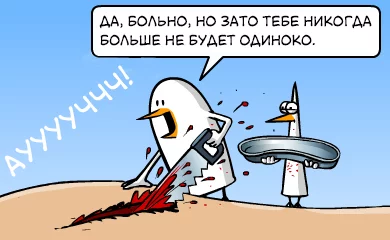 1584044690166830746.webp