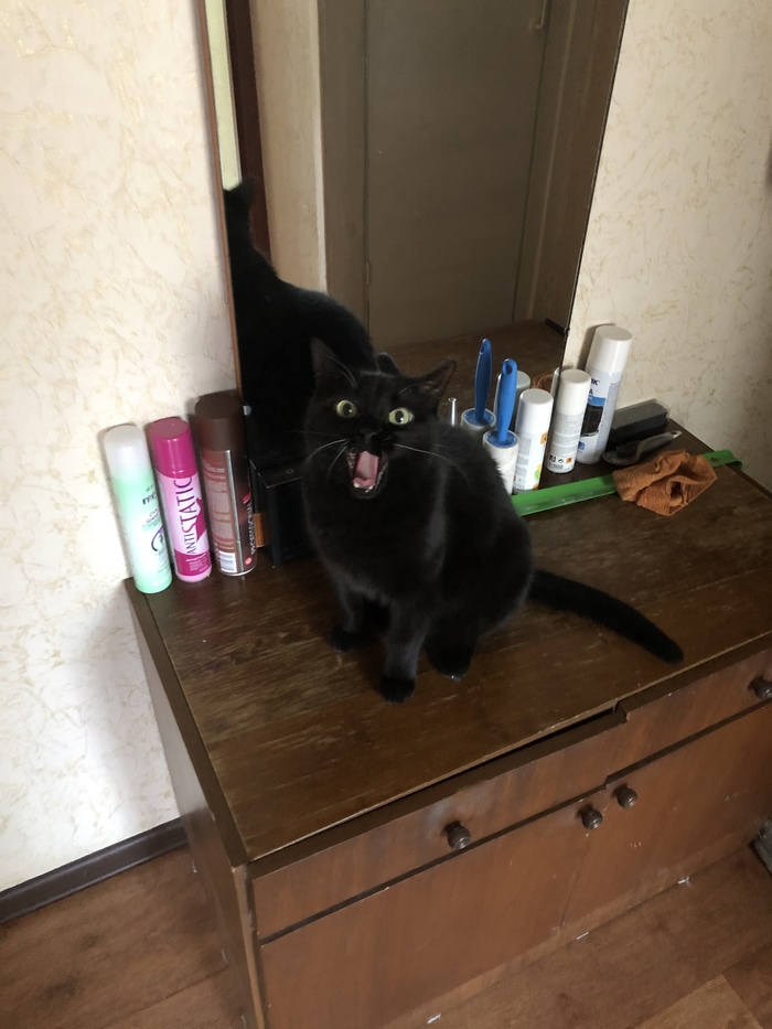 Зевает или орет?