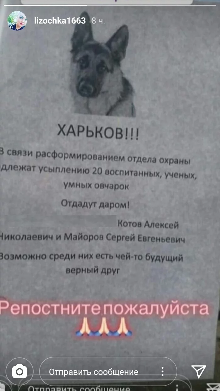 Help needed, Kharkov city - Animals, Help, Shelter, Kharkov, Dog, In good hands, No rating