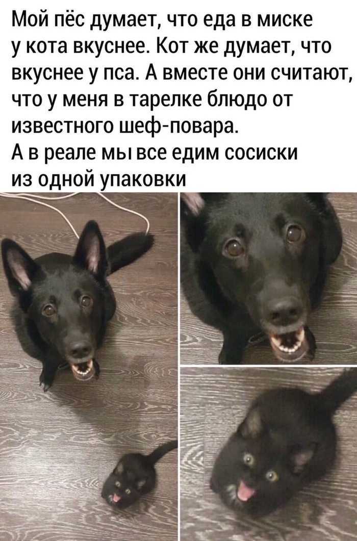 1584102243120283761.jpg