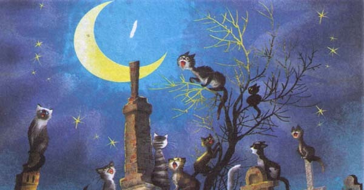 Чудесны лунные мартовские ночи впр 5. Мартовский кот. Коты на крыше при Луне. Кот ночью. Мартовские коты на крыше.