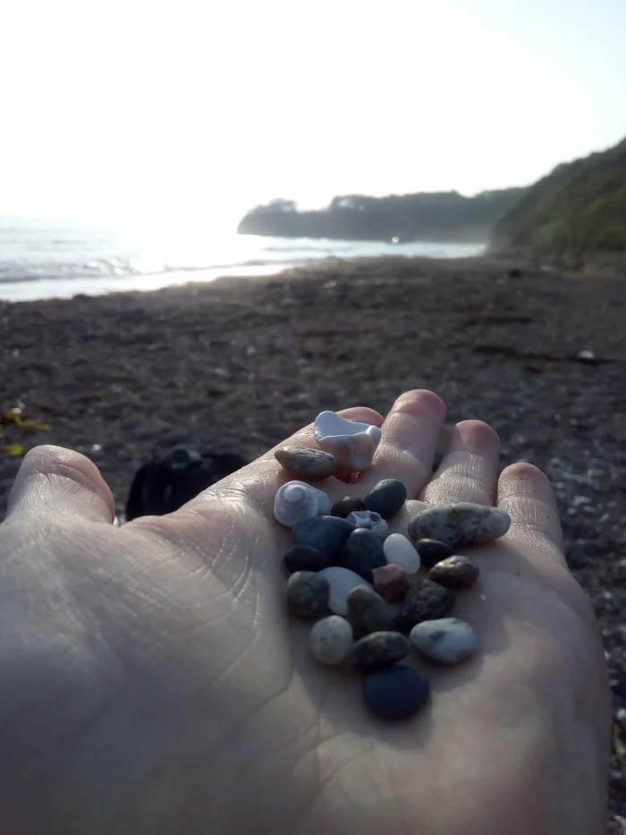 coast of the Sea of ??Japan) - My, Pacific Ocean, Shore