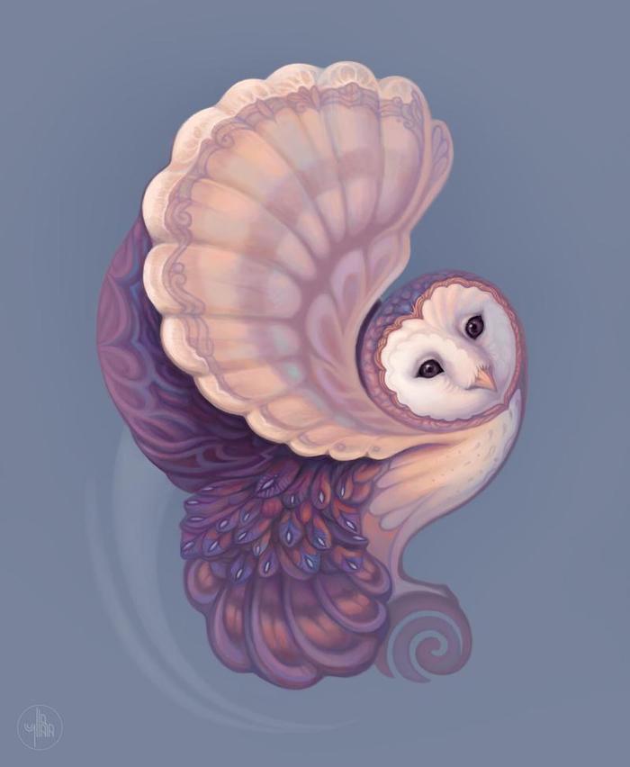 Stylized barn owl - Barn owl, Owl, Digital drawing, Yullapa, Stylization, Art, Birds