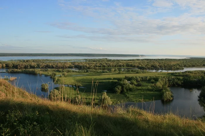 Yakutia, Olekminsky ulus, on the eve of summer - My, Yakutia, Olekminsk, Orchids, Taiga, Longpost