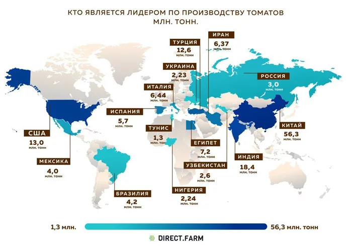 Who is the leader in tomato production? - My, Interesting, Informative, Statistics, Сельское хозяйство, Farm, Farmer, Products, Plant growing