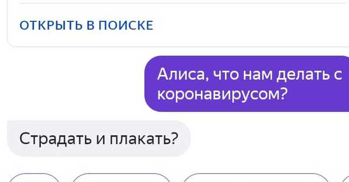 Открой алиска. Привет Алиса прикол. Привет я Алиса. Прикольное Приветствие от Алисы. Открой Алису пожалуйста.