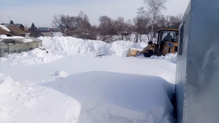 Beekeeping season has begun - My, Bees, Beekeeping, Apiary, Nature, Spring, Snow, Siberia, Longpost