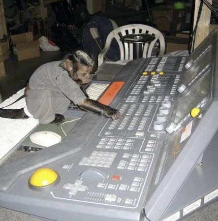 When he asked the technician to follow the console ... - Sound engineer, Sound engineering, Mixing Console, Concert, Monkey, Music, Rental