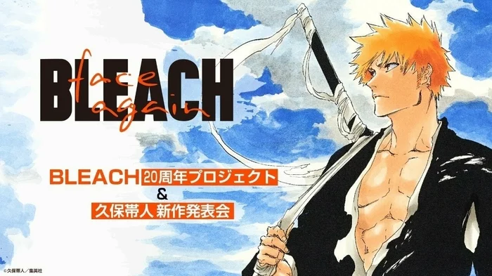 Bleach anime sequel announced - Bleach, Anime, Manga, Kurosaki Ichigo, Taito Kubo, Longpost