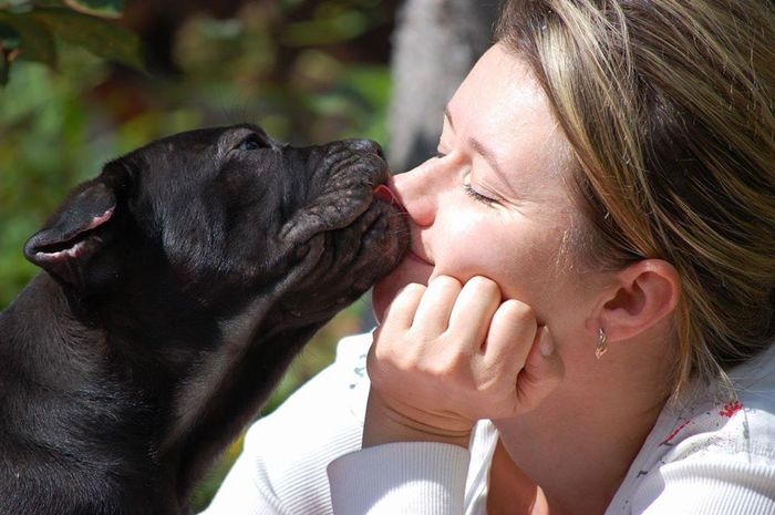 � - �������!