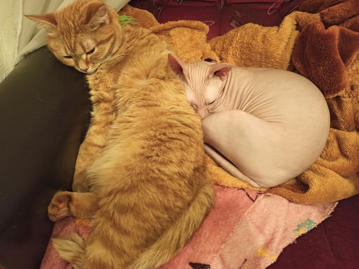 � ������� ���� ���� �����!