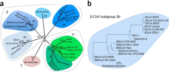 Article from the journal Nature Medicine, November 9, 2015 - Nature Medicine, Coronavirus, Article, Longpost