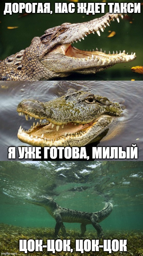 ���-�� � ������