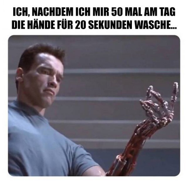 Me, after washing my hands 50 times a day for 20 seconds... - Arnold Schwarzenegger, Terminator, Memes, Screenshot, Hygiene, Arms, , Humor