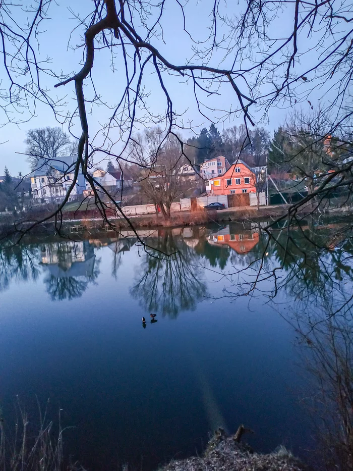 Walk on the water walk on the water with you... - My, Pond, Wild ducks, Walk, Near my house, Nature, The photo, Mobile photography