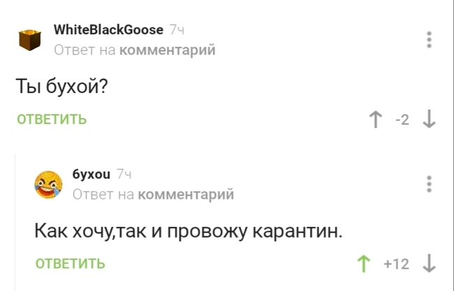 Главное правильно проводить время на карантине - Юмор, Карантин, Коронавирус, Скриншот, Комментарии на Пикабу, Комментарии