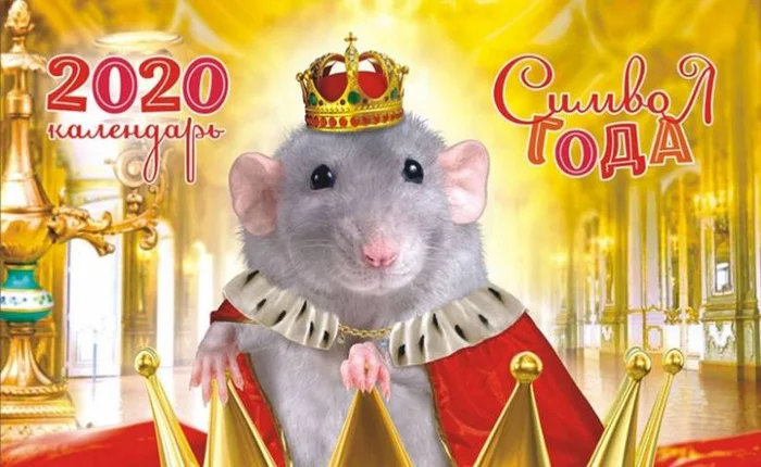 Symbol of the year - 2020, Rat