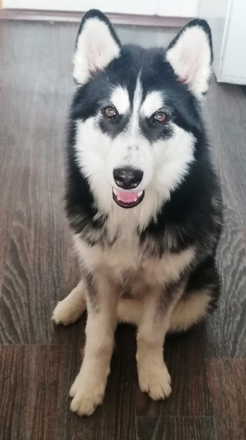 Весна ла-ла