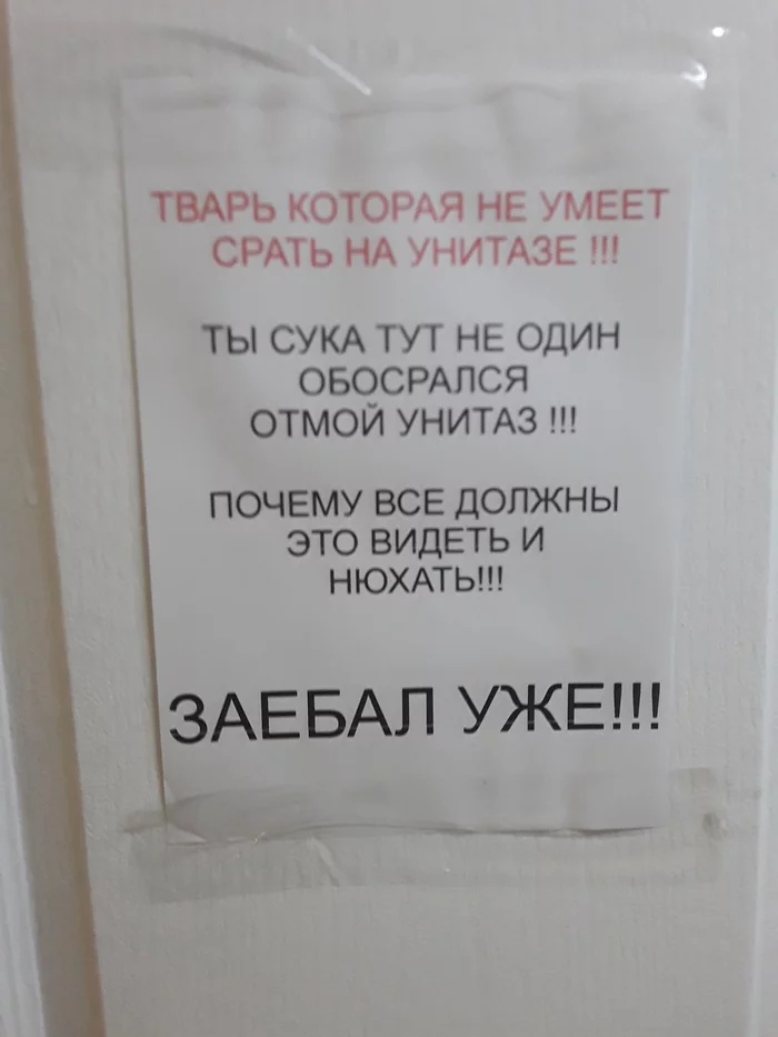 Good morning)) - My, Announcement, Toilet, Humor, Mat