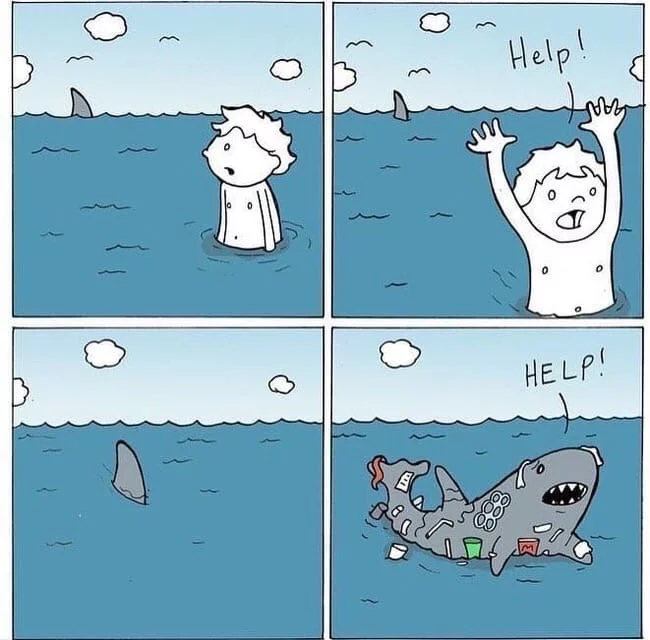 The most dangerous animal on earth - Comments, Person, Shark, Comics, Lunarbaboon