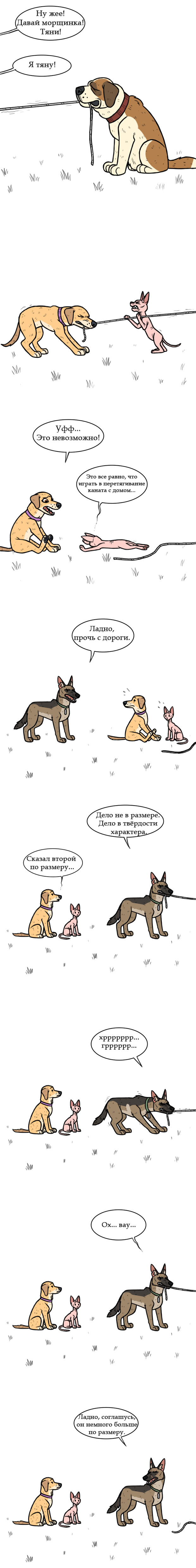 Перетягивание каната - Pet Foolery, Patreon, Комиксы, Длиннопост, Лола и Мистер Морщинка, Брут и Пикси