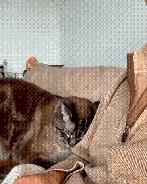 Друзья