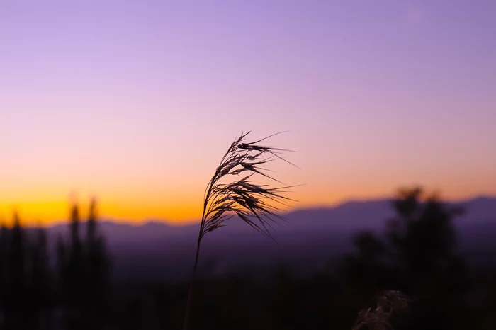 Their eyes are full of sunset, Their hearts are full of dawn - My, Morning, The sun, The mountains, The photo, Beginning photographer, Canon, Love, dawn
