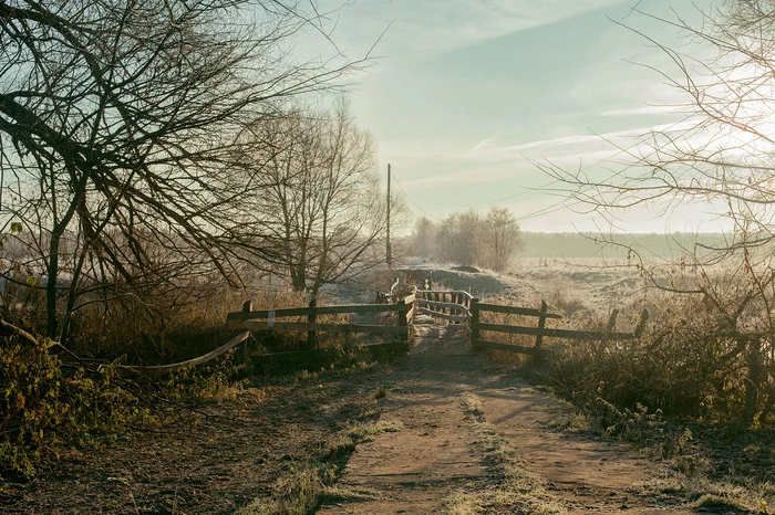 Bridge - freezing, Bridge, Nature, The photo