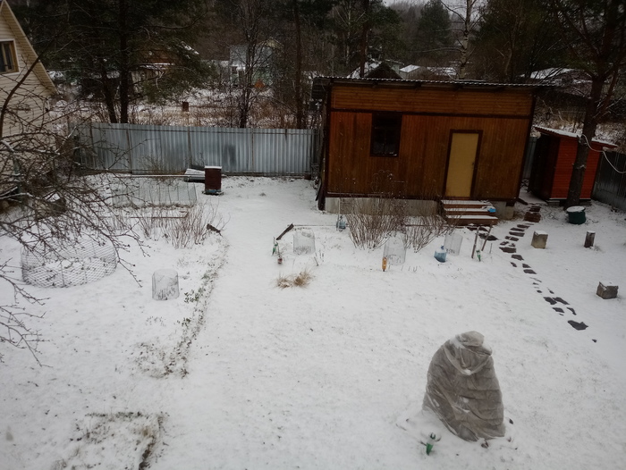 � ��� ������ ����