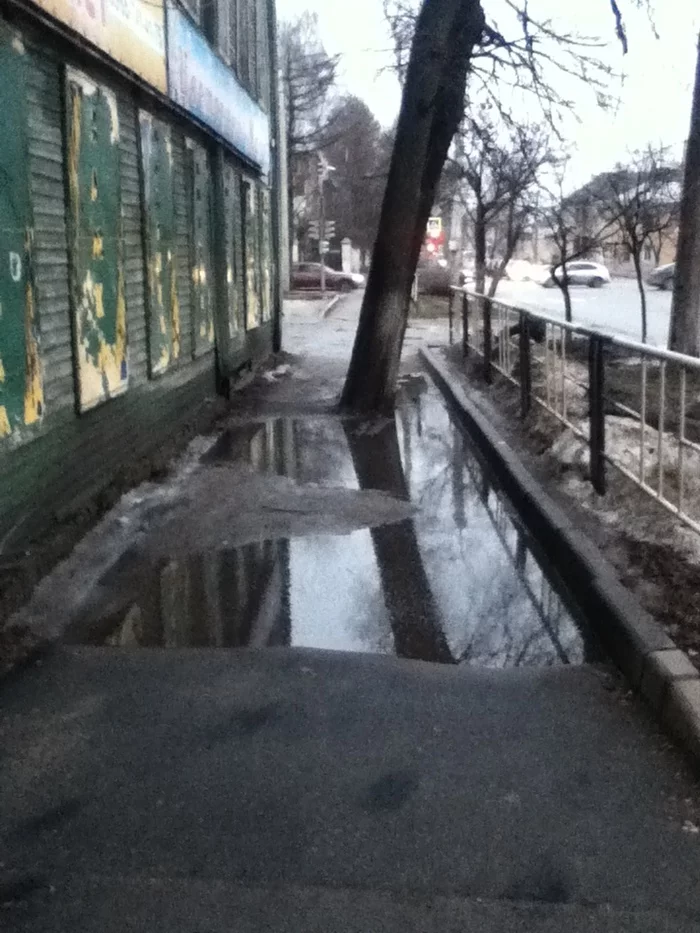 Elm in the middle of the sidewalk - My, Vologodskaya Oblast, Beautification, Urban environment, Vologda