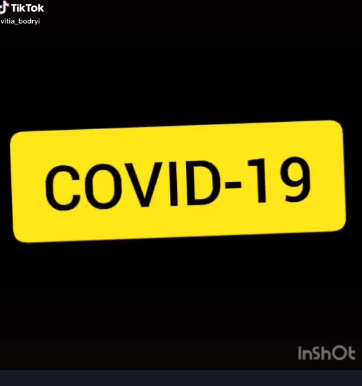 Covid-19 - My, Story, Suspicious, Coronavirus, Suggestibility, Longpost, Tik tok, Head, Brain