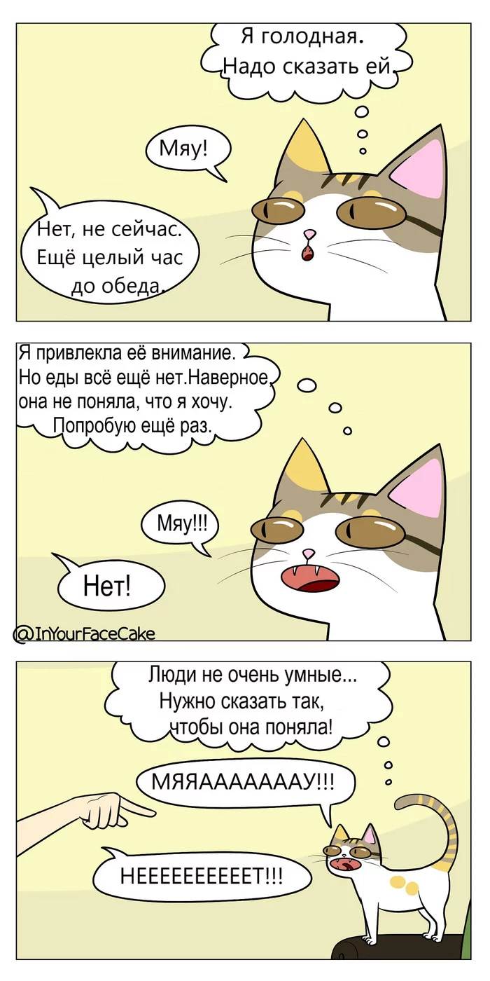 Language barrier or eternal confrontation - Comics, Humor, cat, Inyourfacecake