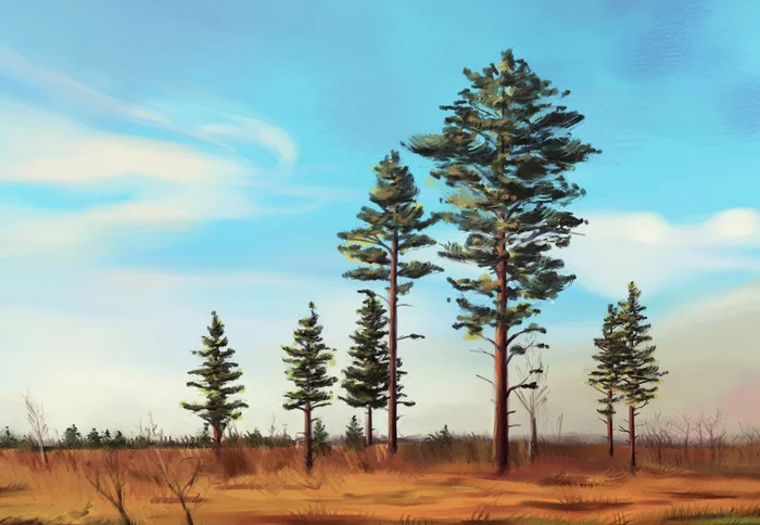 Pines. - My, Pine, Etude, Creation, Art, Digital drawing, Photoshop, Corel Painter