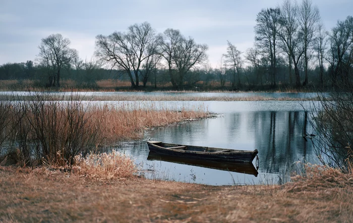 Morning silence - My, River, Tree, Reeds, A boat, The photo, Landscape