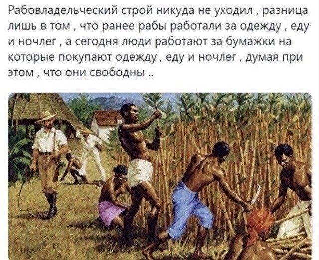 Slave system - Picture with text, Slaves, Cloth, Food, Liberty