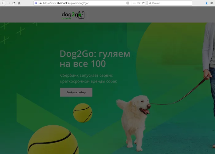 April Fool's joke from the bank - April 1, Sberbank, Humor