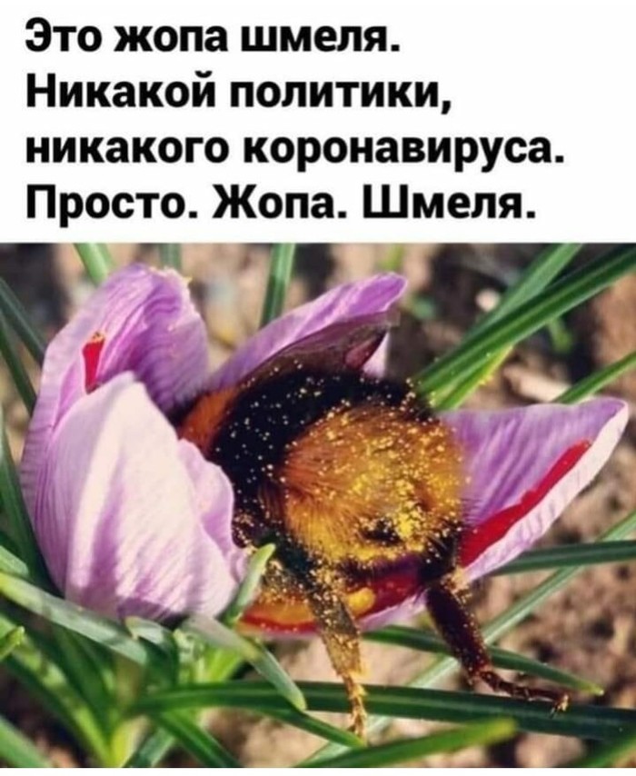 Ох, как же это надоело!