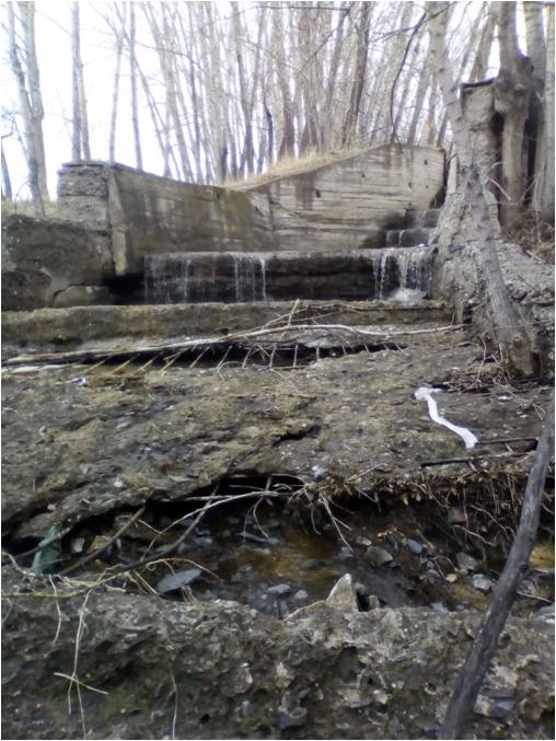 Pond degradation - My, Story, Time, It Was-It Was, Abandoned, Mismanagement, Video, Longpost