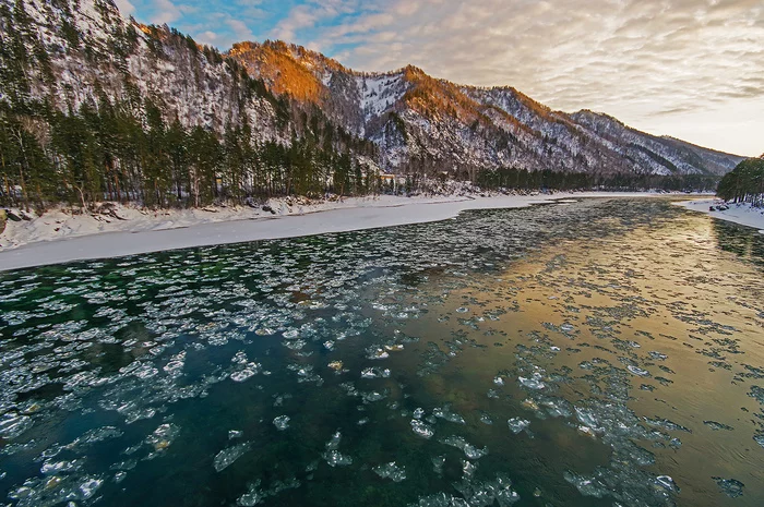 Altai: Katun and swans - My, Altai Republic, Travels, Holidays in Russia, Landscape, The photo, Swans, Birds, Katun, Longpost