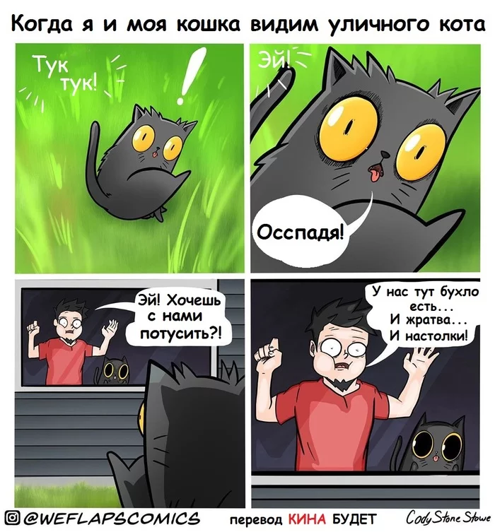 Уличный котик... - Кот, Комиксы, Перевел сам, Cody stone stowe, Weflapscomics