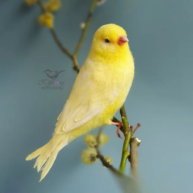 KENAR. Dry felting - My, Needlework without process, Dry felting, Needlework, Handmade, Birds, Author's toy, Copyright, Video, Longpost