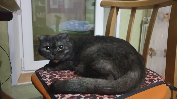 Уйди, человек