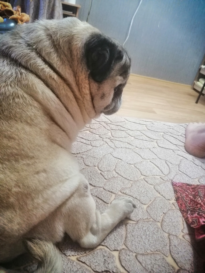 �������