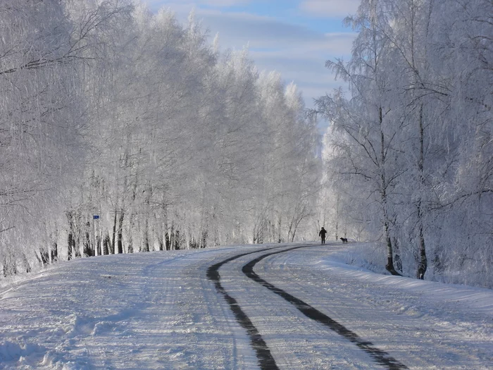 Winter morning - My, Russia, Bryansk region, Winter, January, freezing, The sun, Frost, 2011, Longpost