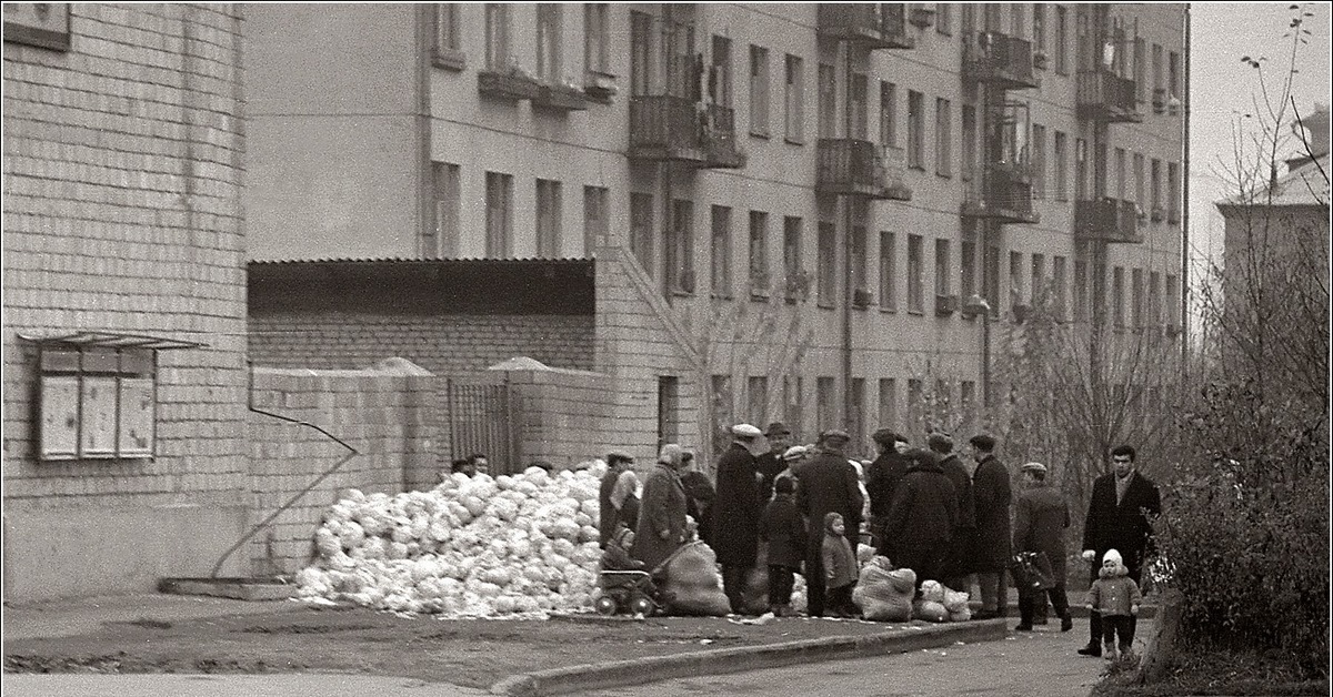 Фото 1967 года. Сиреневый бульвар 1975. Сиреневый бульвар Москва Измайлово. Сиреневый бульвар 1992 года. Москва 1967 год.