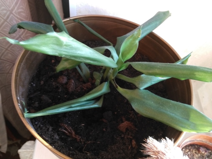 �������� ��������