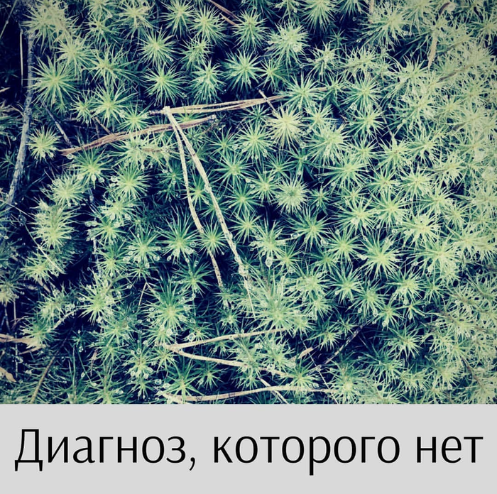 ,   , , 