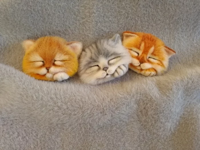 Sleepy kingdom - My, Dry felting, Kittens